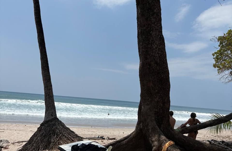 Playa tropical con palmeras y mar